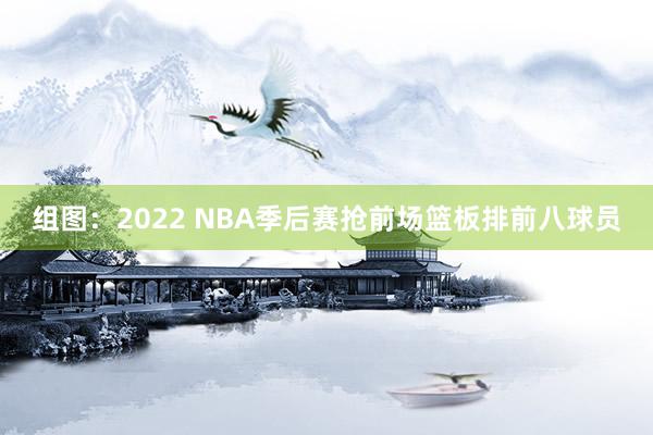 组图：2022 NBA季后赛抢前场篮板排前八球员