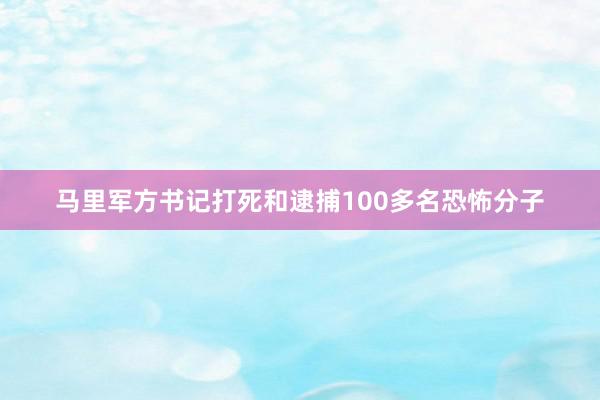 马里军方书记打死和逮捕100多名恐怖分子